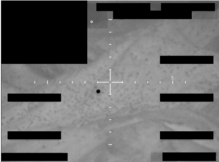 FBI sensor frame A5 - sphere centred on bullseye, low-contrast terrain background